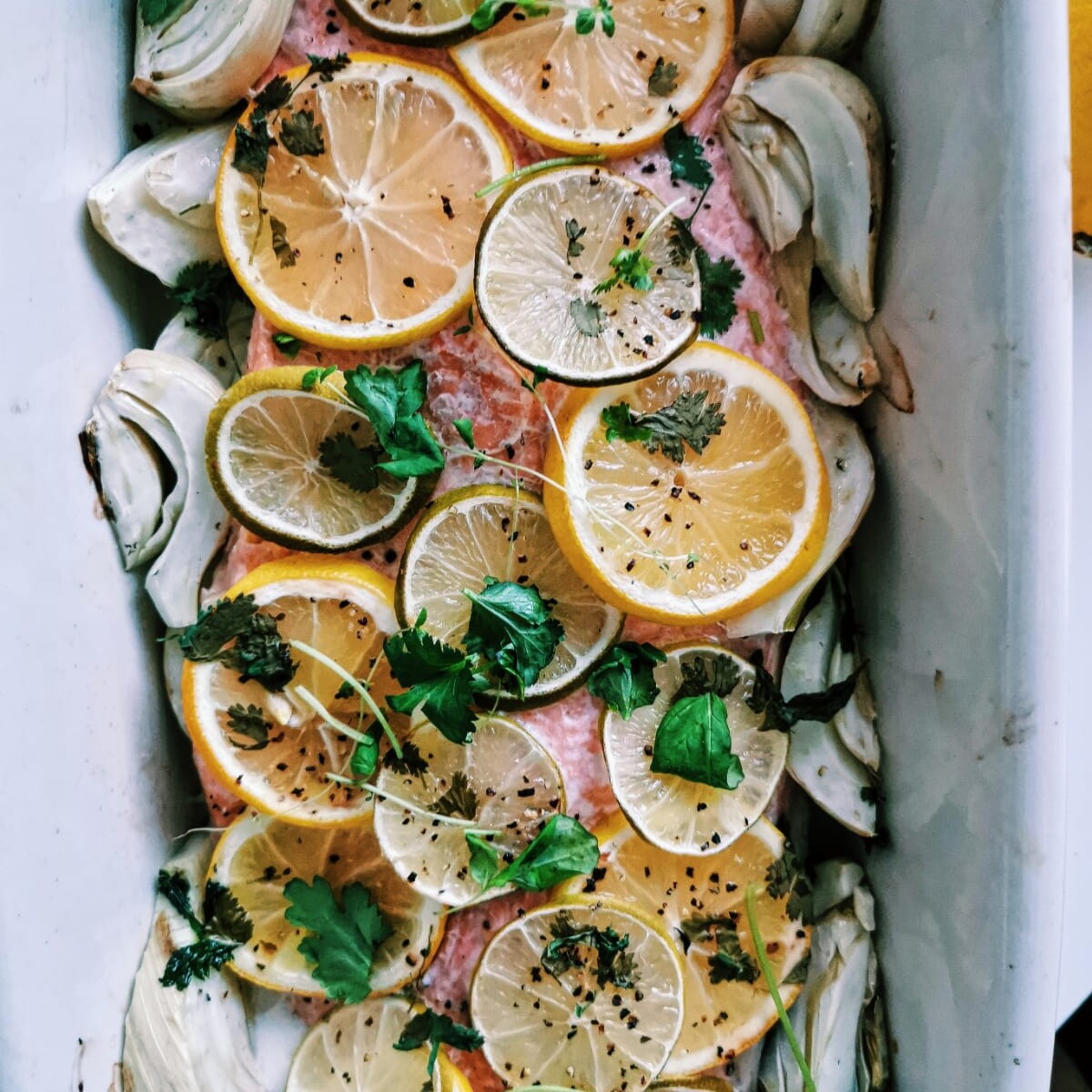 Sitruksinen lohi fenkolilla + Raikas korianteri-minttukastike