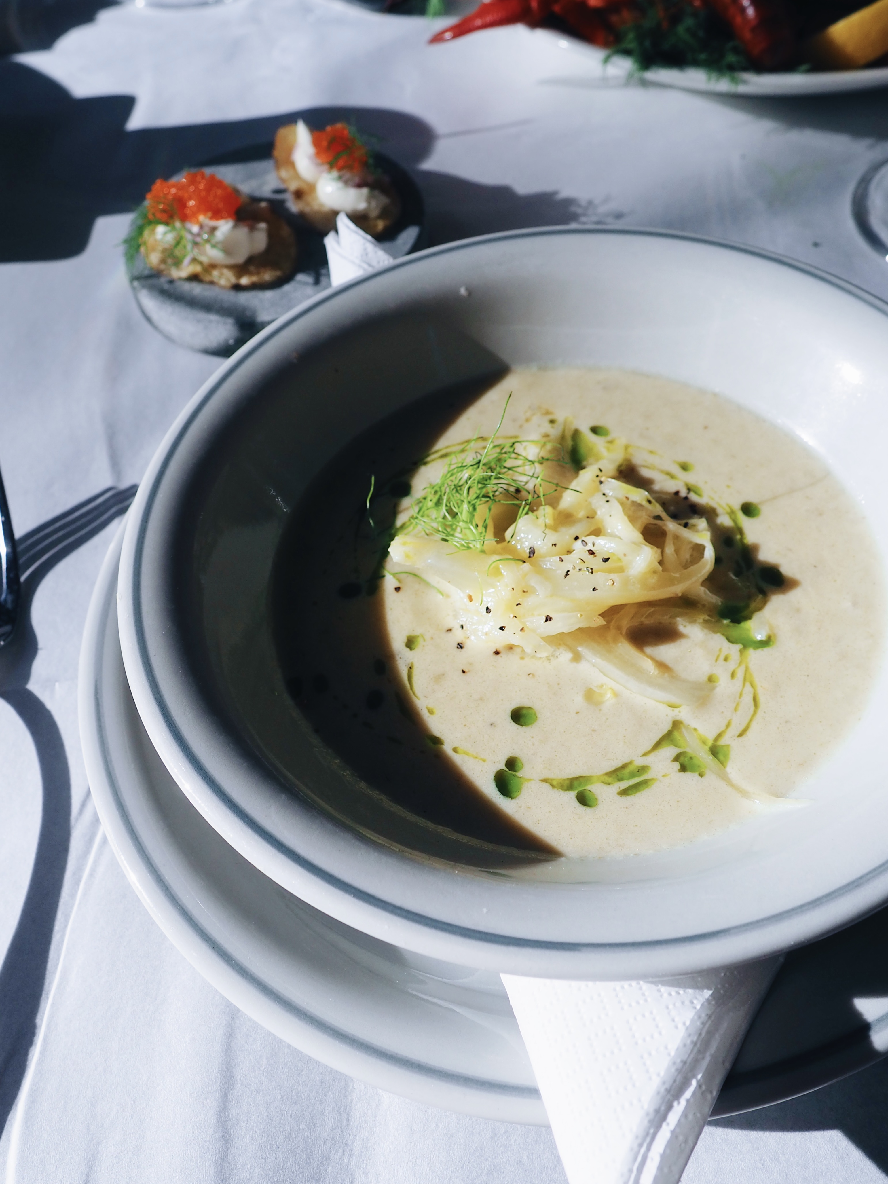 Hiilivoilla maustettu fenkolikeitto herkullisella fenkolihöysteellä